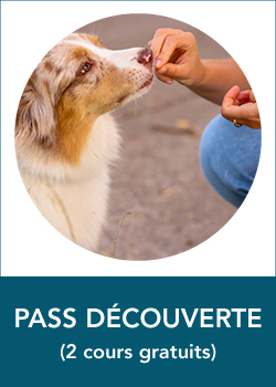Pass Découverte